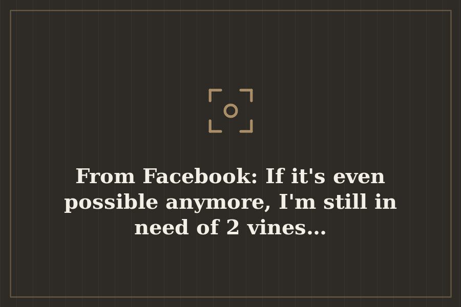 From Facebook: If it's even possible anymore, I'm still in need of 2 vines… — cover