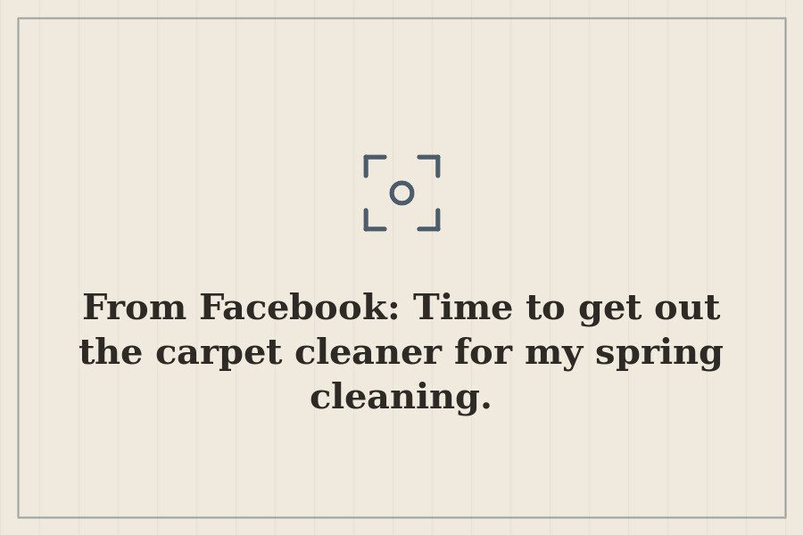 From Facebook: Time to get out the carpet cleaner for my spring cleaning. — cover