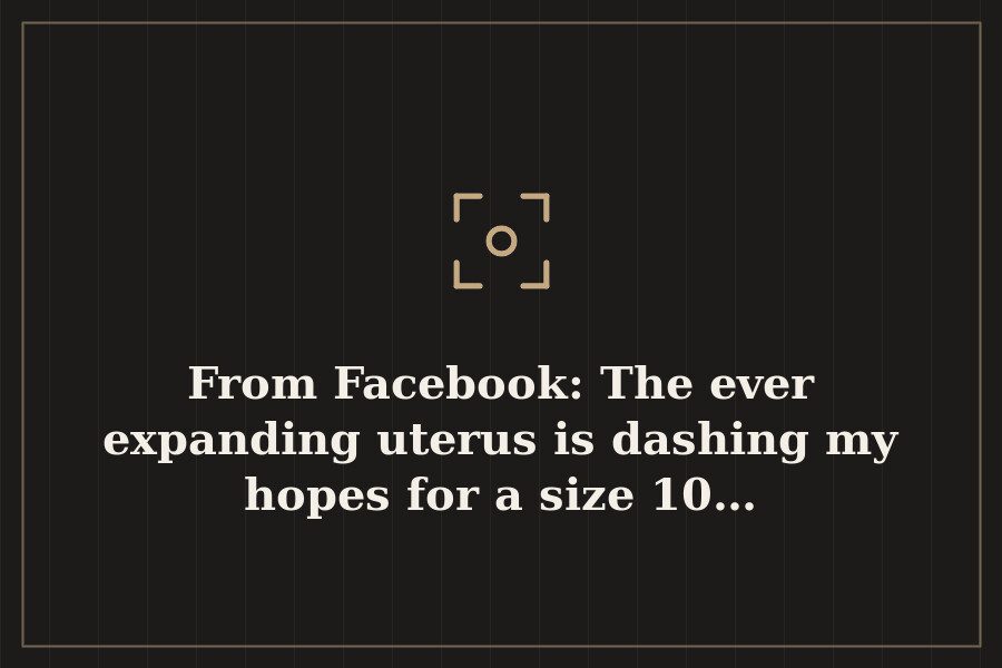 From Facebook: The ever expanding uterus is dashing my hopes for a size 10… — cover