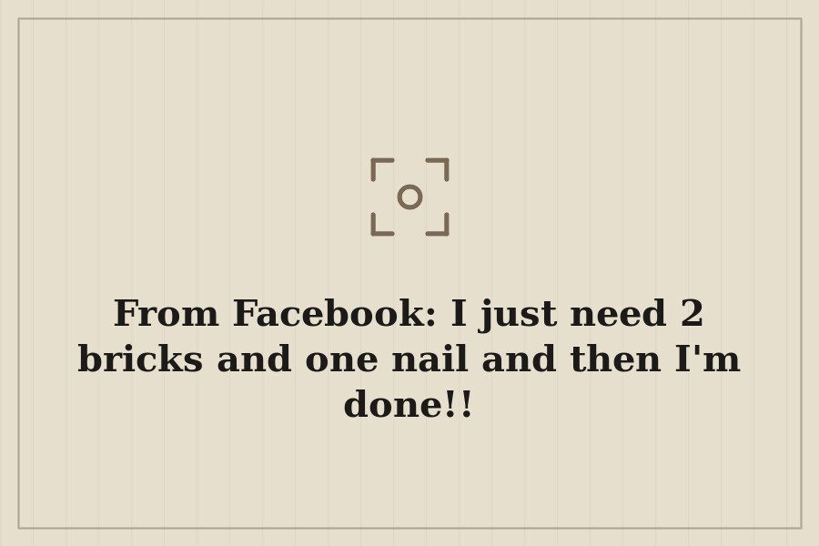 From Facebook: I just need 2 bricks and one nail and then I'm done!! — cover
