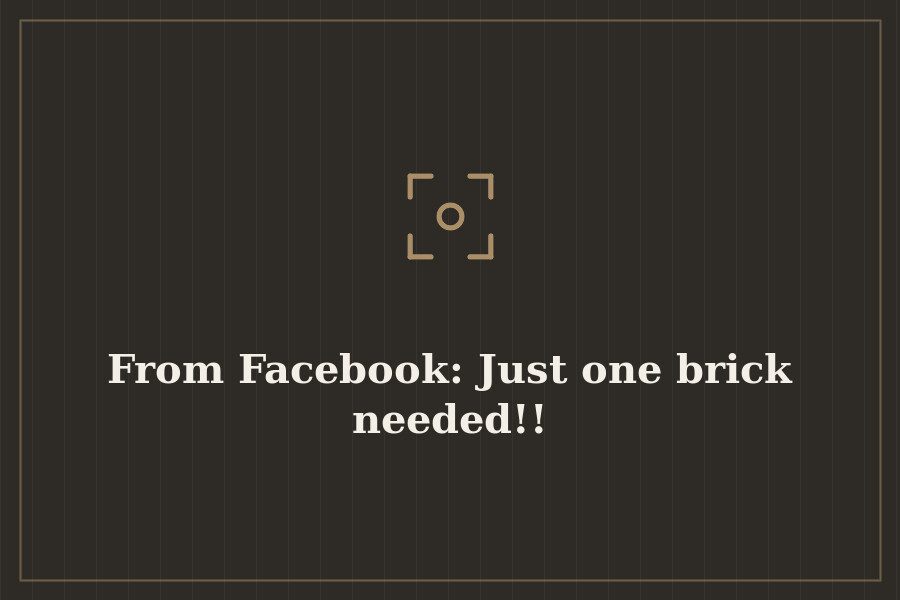 From Facebook: Just one brick needed!! — cover